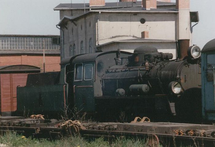 Gniezno Wsk., 02.05.1995, foto owca